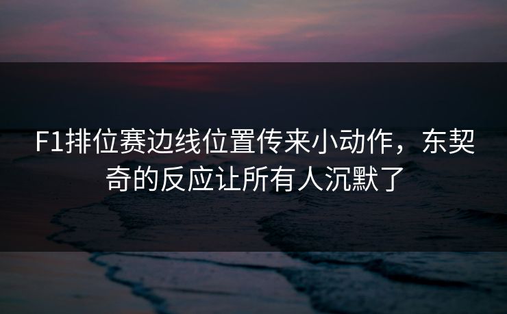 F1排位赛边线位置传来小动作，东契奇的反应让所有人沉默了
