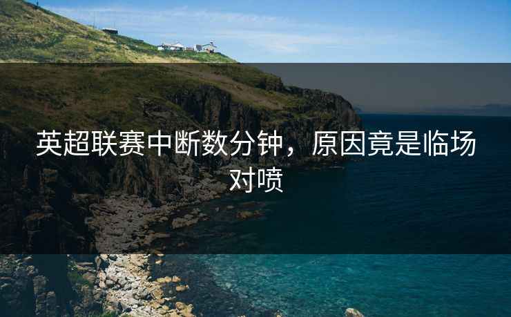 英超联赛中断数分钟，原因竟是临场对喷