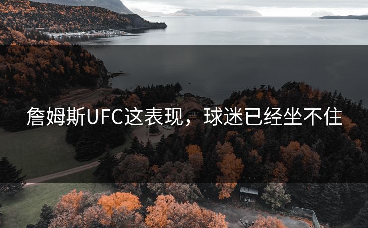 詹姆斯UFC这表现，球迷已经坐不住