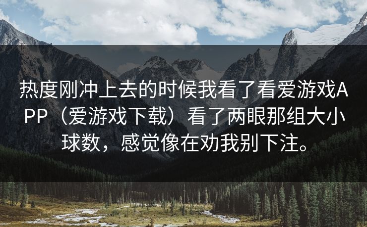 热度刚冲上去的时候我看了看爱游戏APP（爱游戏下载）看了两眼那组大小球数，感觉像在劝我别下注。